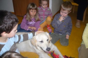 Czesio i Zorka uczą nas jak opiekować się psem