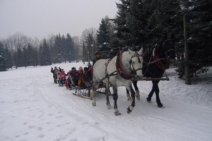 WESOŁY KULIG