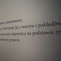 WĘGLOWA PRZYGODA W BWA (8)